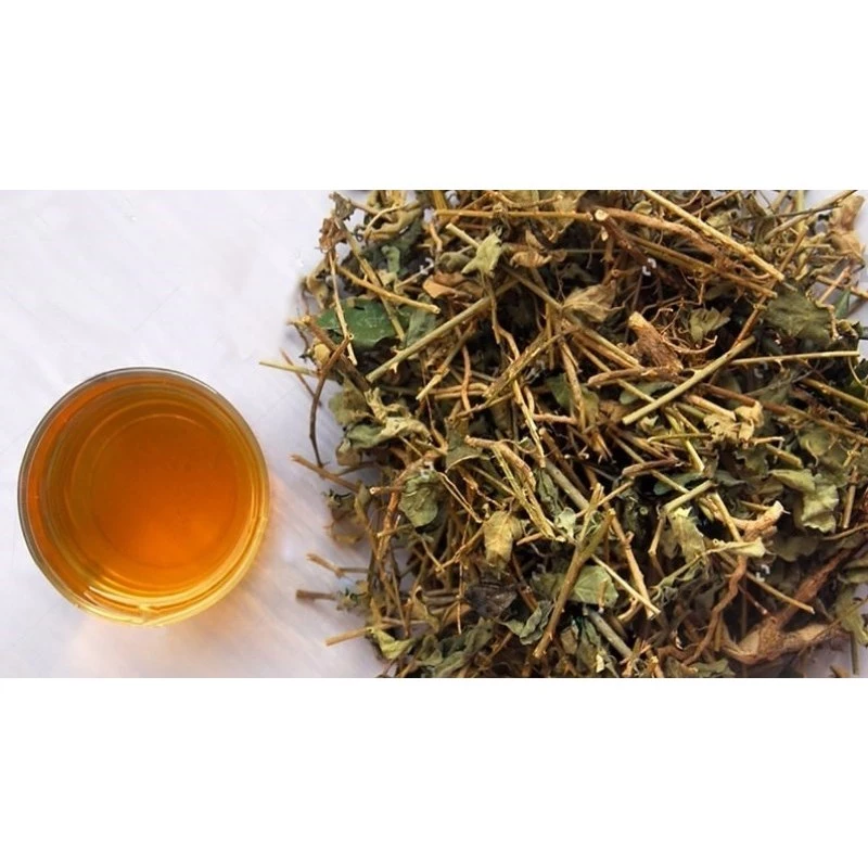 1Kg 乾燥カガイレオ - 肝臓デトックス＆クールダウン