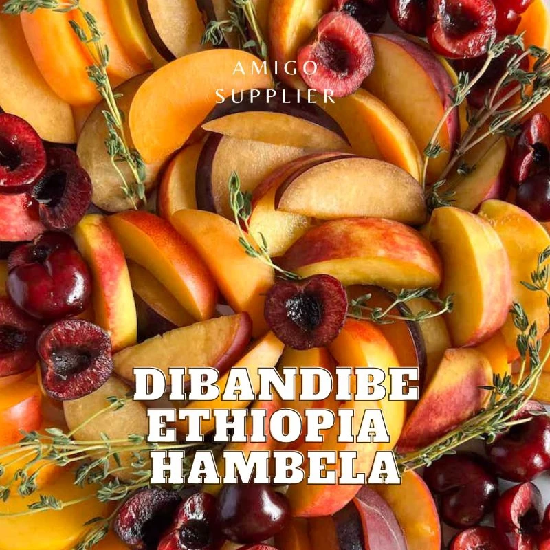 【2025年新豆】エチオピア ハンベラ ディバンディベ スペシャルティコーヒー豆 (焙煎済)