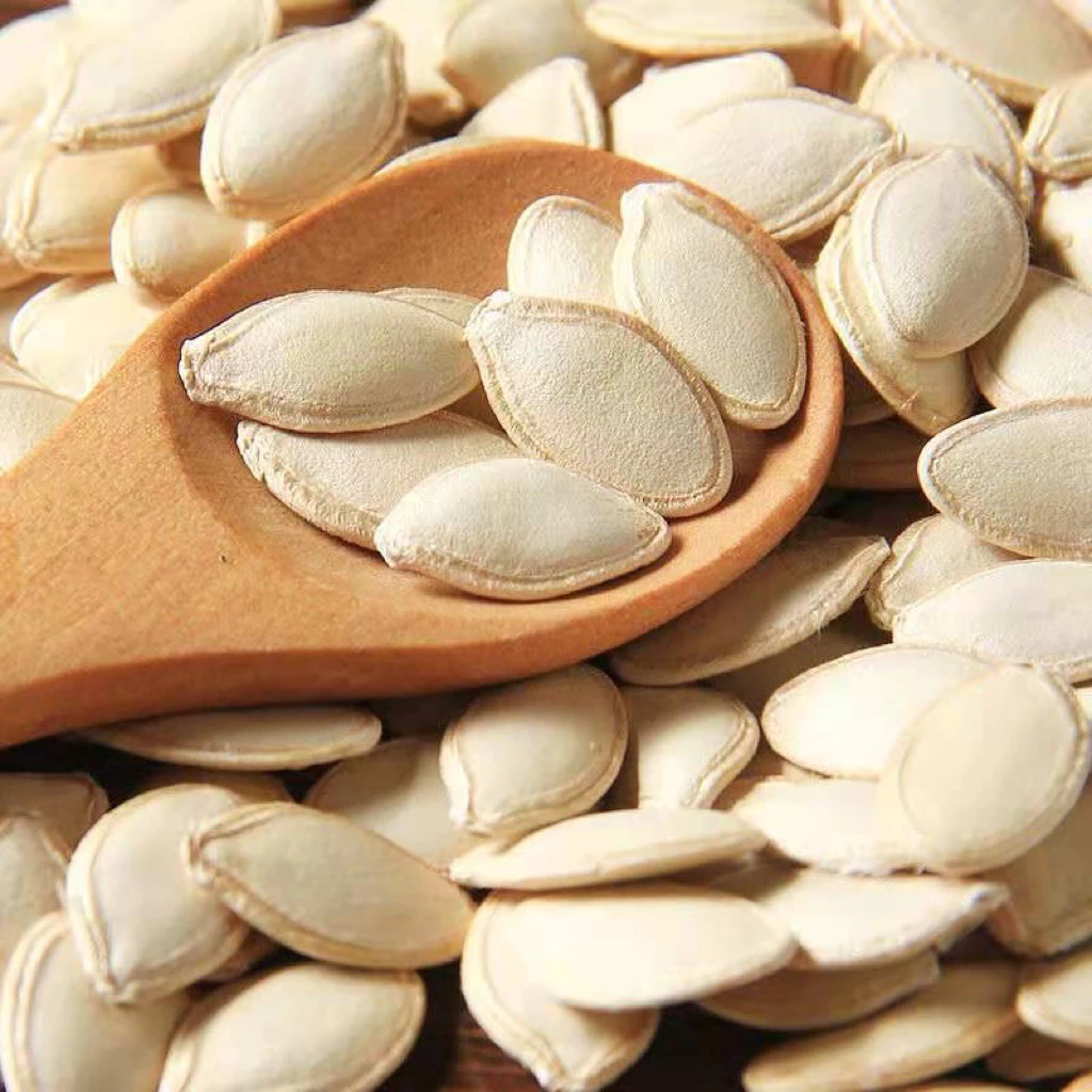 【ジップ袋 500g】焙煎もち米かぼちゃの種 - すぐ食べられる 香ばしくてヘルシーなギフトスナック