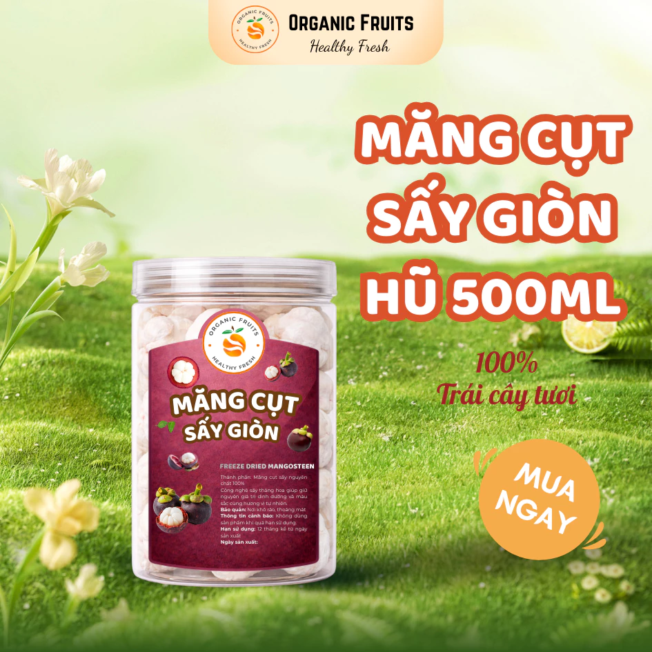500ml フリーズドライマンゴスチン – 贅沢な甘酸っぱさ、サクサクのオーガニックフルーツスナック