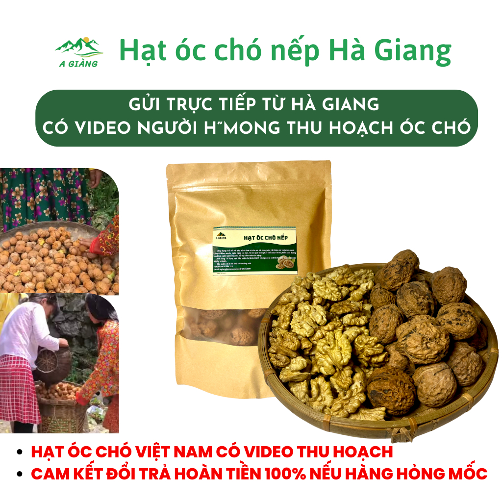 ハギャン産 グリーンナッツ クルミ 天然殻付き 500g Hagiang Green Nuts Natural Walnuts Premium Whole Shell Fresh Harvested 500g