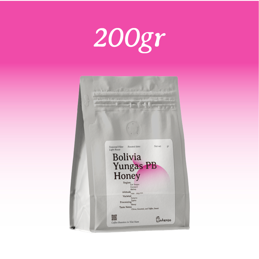 Intenso Coffee Roasters Bolivia Yungas ピーベリーハニー コーヒー 深煎り コールドブリュー 200g