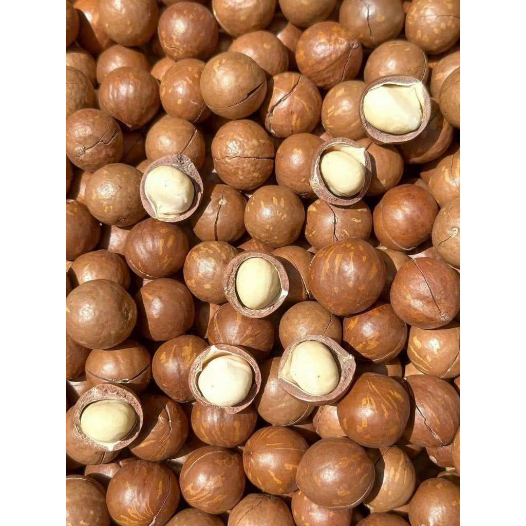 Đăk Lăk Hạt Macca Sấy Nứt Vỏ Ăn Liền Đại Size Hạt Dinh Dưỡng Cho Bà Bầu Ăn Kiêng Healthy Giảm Cân 1Kg Túi
