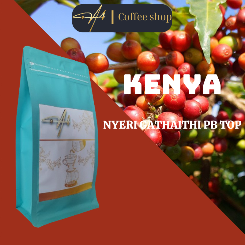 [スペシャルティコーヒー] Kenya Nyeri Gathaithi PB Top Coffee - エスプレッソ/プアオーバー/コールドブリュー/フレンチプレス/モカポット用 - 200gr - モカポット用