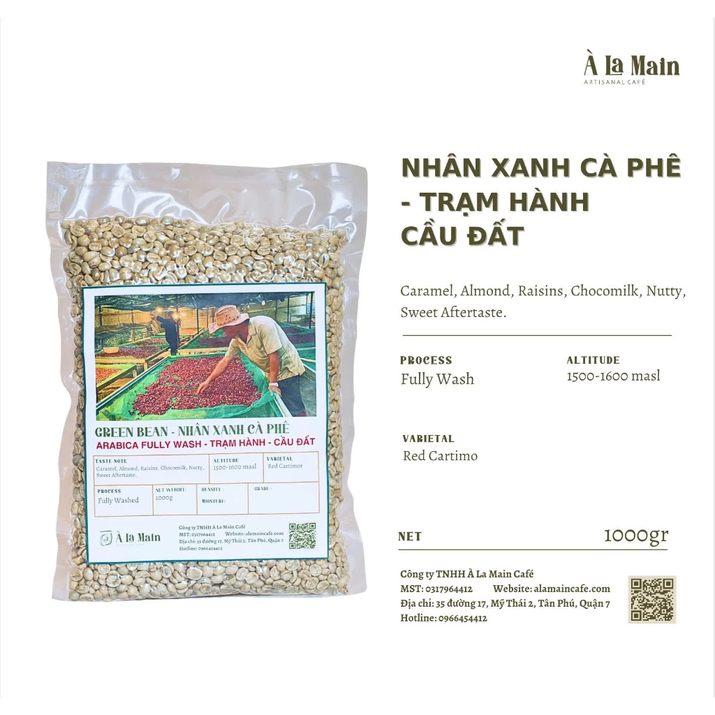 手摘み アラビカ グリーンコーヒー豆 (未焙煎) 500g - トラムハン・カウダット産 S16 - 完全水洗式