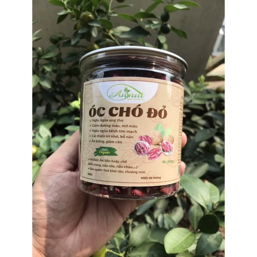 ANNUT純正 高級アメリカ産レッドウォールナッツ（赤くるみ）カーネル 250g | 栄養満点スーパーフード