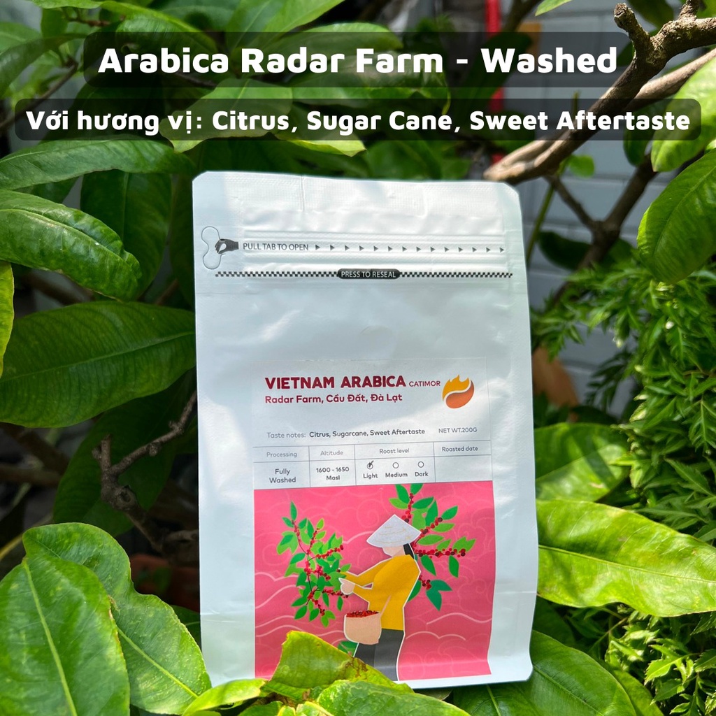 ARABICA RADAR FARM コーヒー ロースト ライト コールド ブリュー ポア オーバー 手作り醸造 - 200gr - 丸ごと豆