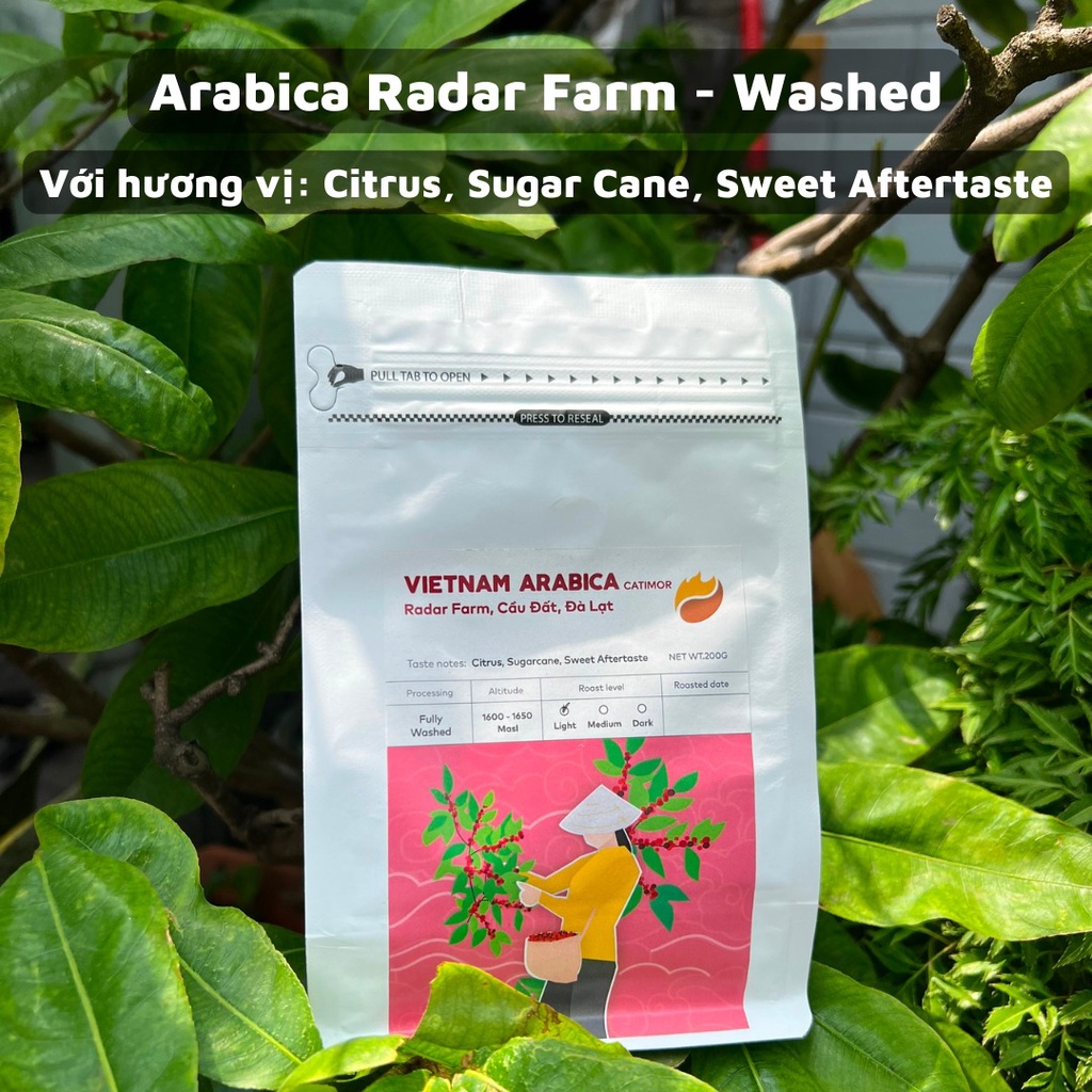 ARABICA RADAR FARM コーヒー ロースト ライト コールド ブリュー ポア オーバー 手動抽出 - 200gr - グラインド ポア オーバー