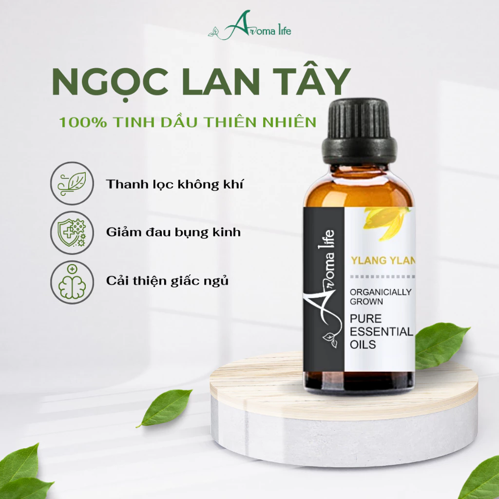 AROMA LIFE 天然イランイラン エッセンシャルオイル 100ml (Ylang Ylang Oil) 公式 部屋用アロマ