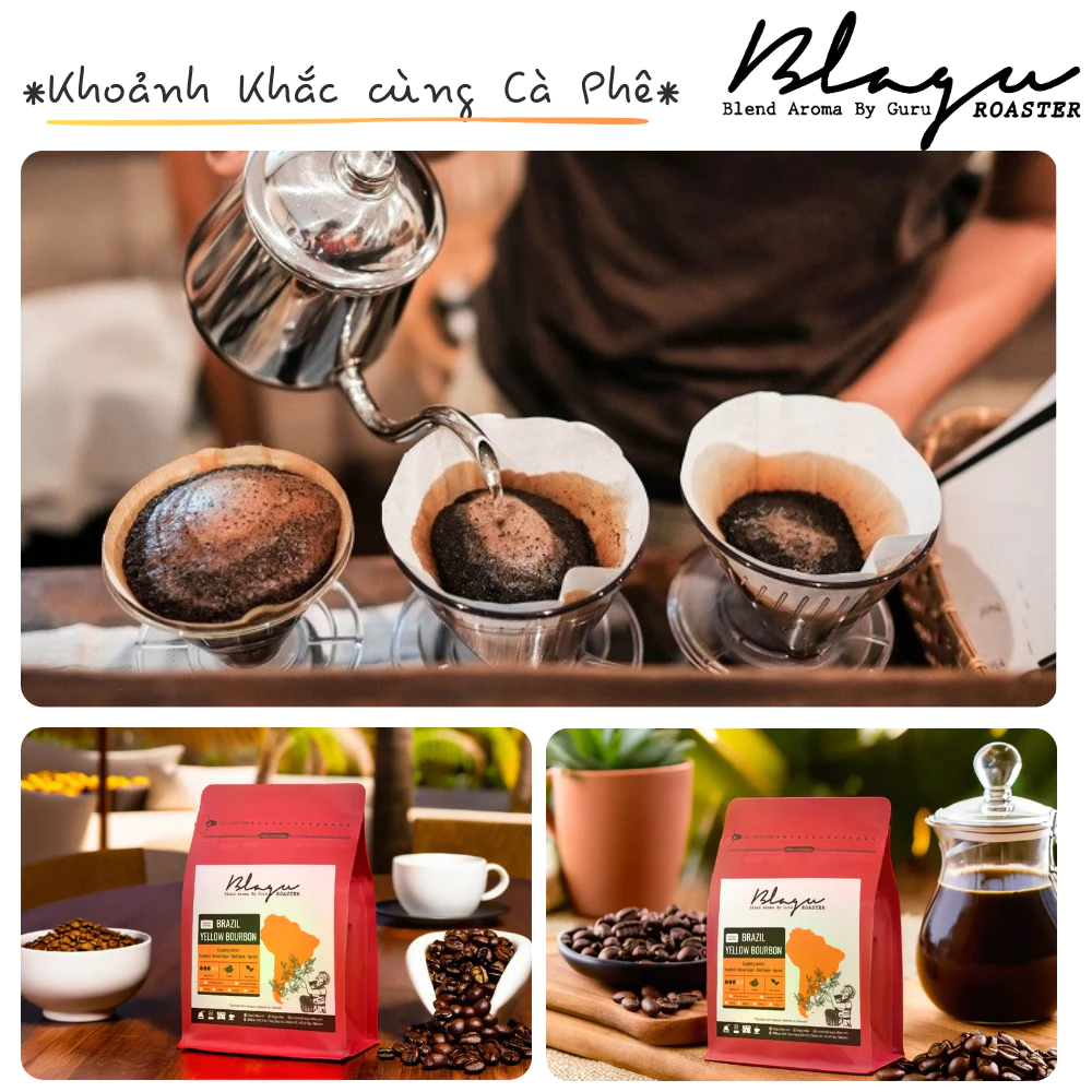 Blagu ブラジル イエローブルボン 100%アラビカ フレンチプレス用粗挽きコーヒーパウダー 250g 中煎り