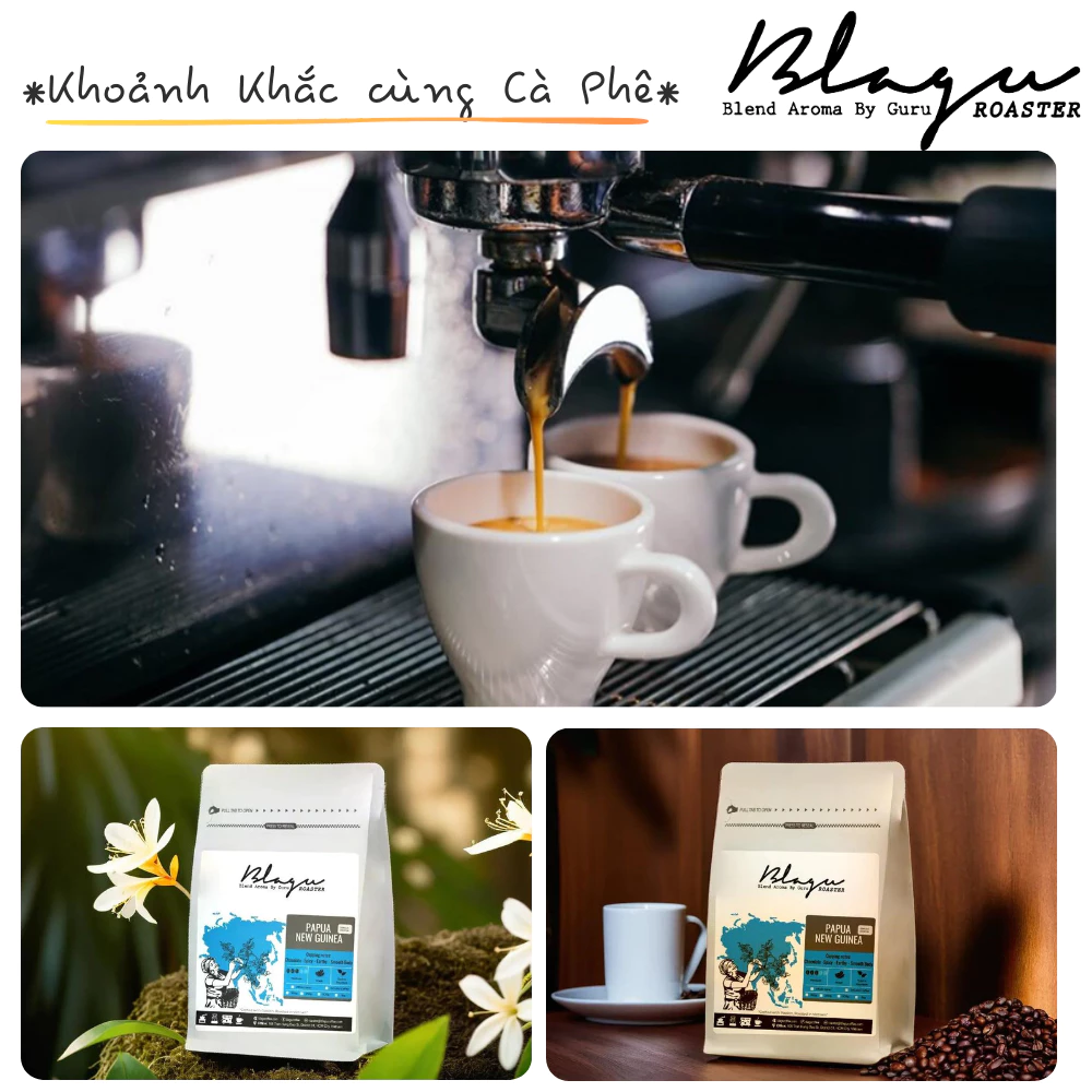 Blagu Coffee パプアニューギニア産 フレンチプレス用 浅煎り〜中煎り ロースト＆グラインドコーヒーパウダー 250g