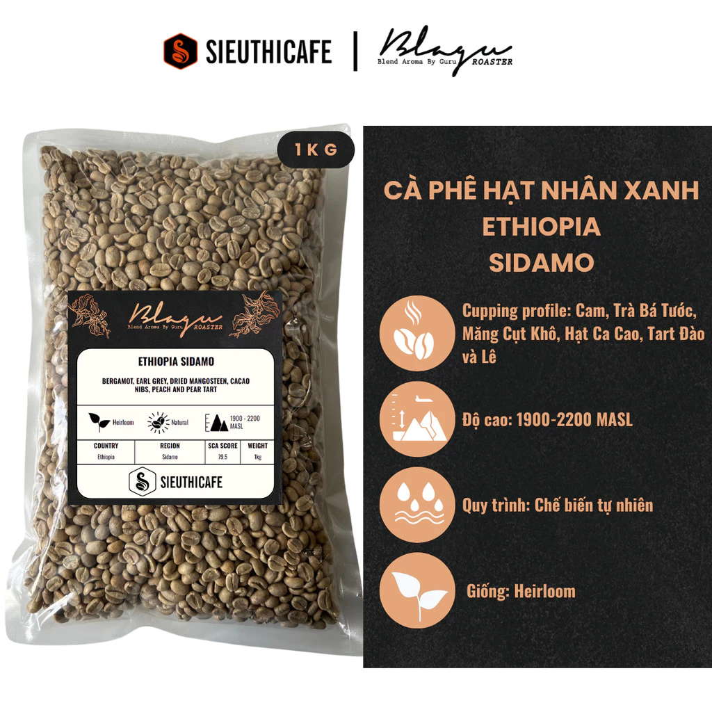 Blagu Coffee エチオピア シダモ G4 スペシャルティ グリーンコーヒー豆 - 1kg