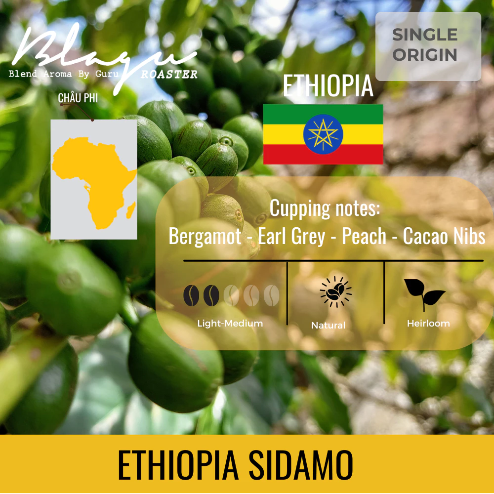 Blagu エチオピア シダモ G4 ドリップマシン用挽き豆コーヒー - 100%アラビカ - ヘアルーム種 - ライトミディアムロースト - 250g