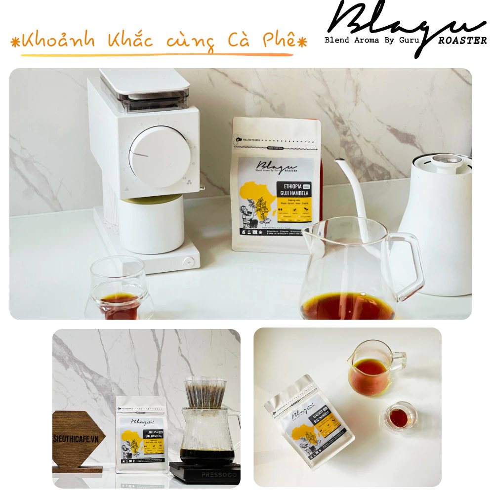 Blagu エチオピア グジ ハンベラ 浅中煎り ドリップ用 挽き豆コーヒー 250g