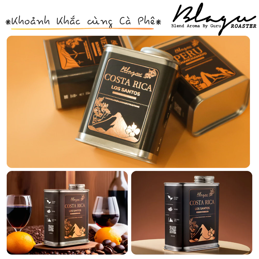 Blagu コールドブリュー用 粗挽きコーヒー粉 コスタリカ ロス・サントス産 | スペシャルティコーヒー | 100%アラビカ種 - カトゥアイ | 中煎り 250g
