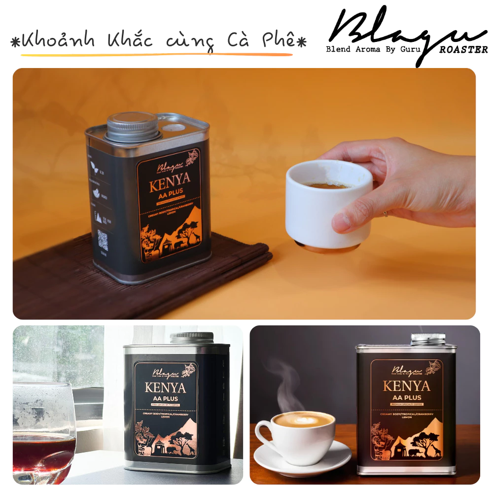 Blagu ケニアAA+ SL28 モカポット用挽き豆 | スペシャルティコーヒー | 100%アラビカ | ライトミディアムロースト 250g