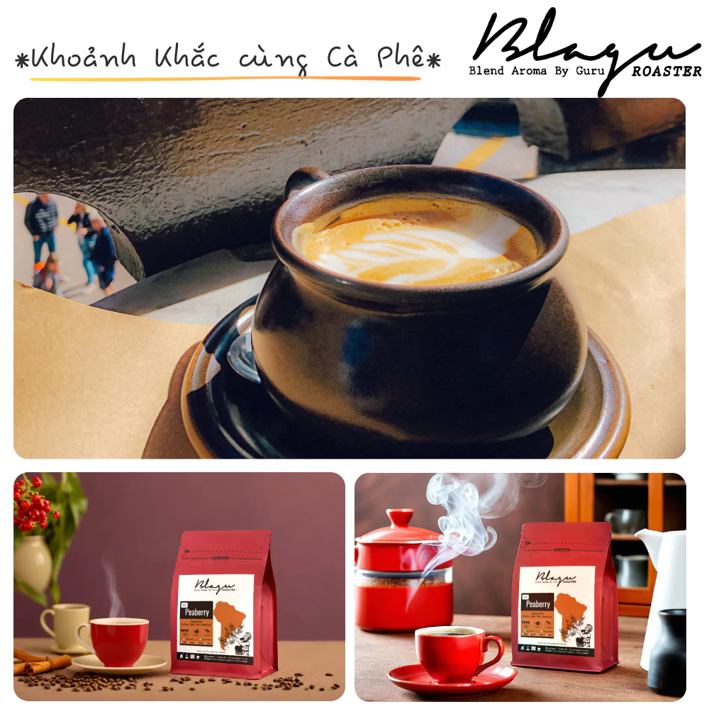 Blagu プレミアム コールドブリュー用コーヒー粉 | ペルー ピーベリー (90%) | ミディアムダーク | 250g