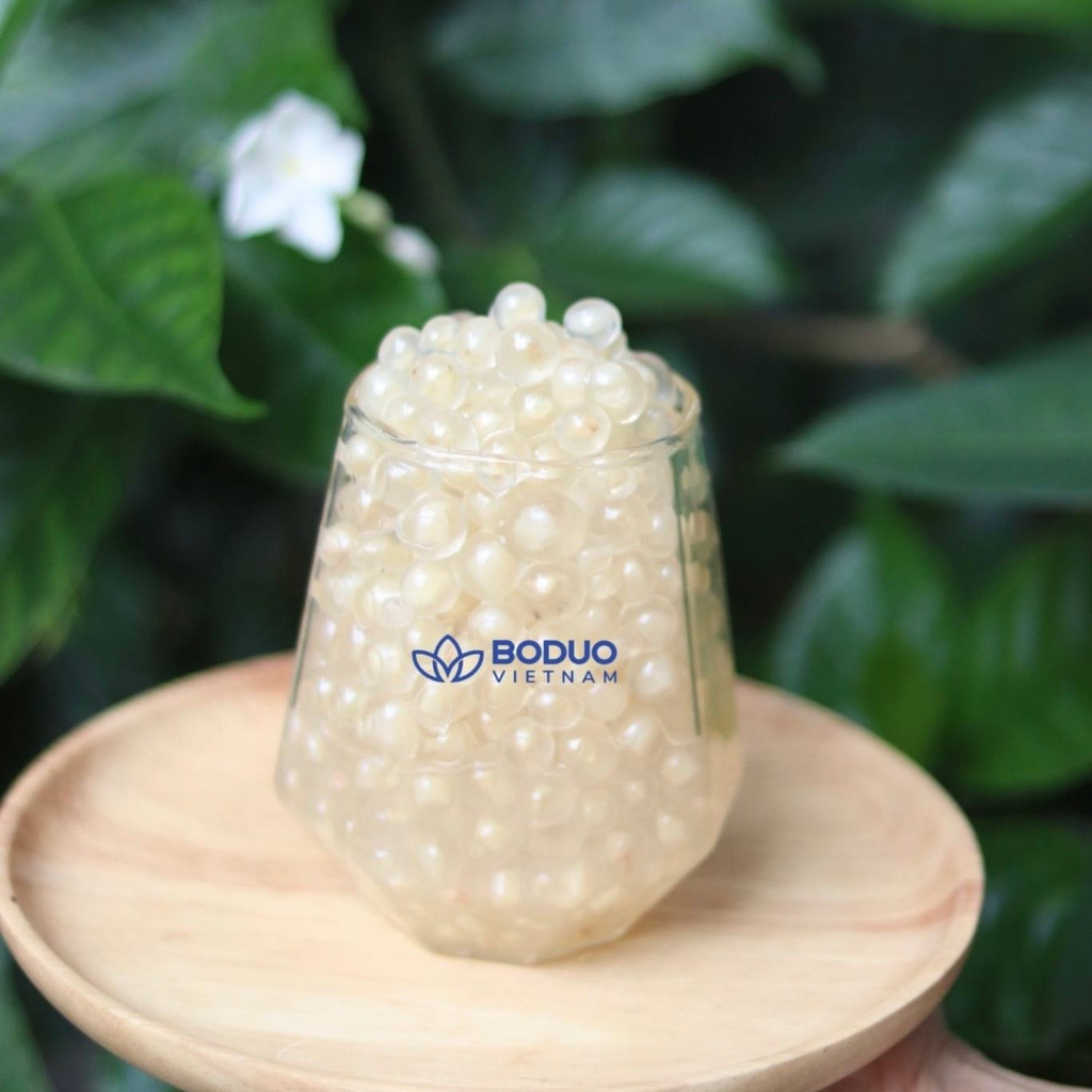 ガラスゼリー 調理不要 1kg Boduo