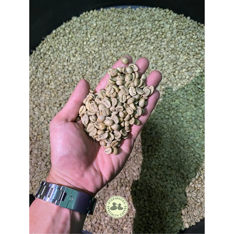 ブラジル サントアントニオ ショコラ アラビカ エスプレッソ 中深煎り コールドブリュー用挽き豆 150g - Stupiducks スペシャルティコーヒー