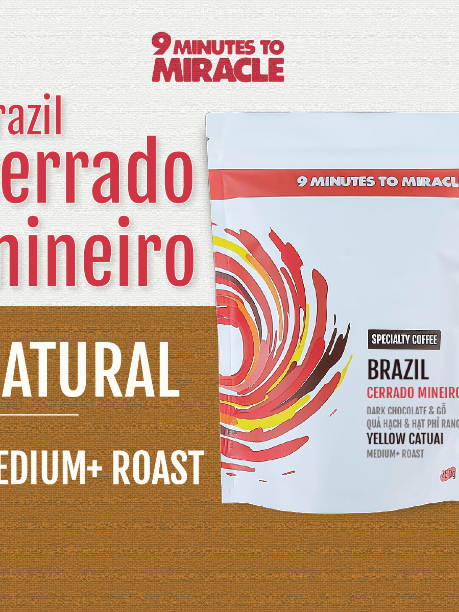 ブラジルコーヒー ミナスジェライス州セラード ミネイロ |スペシャルティ コーヒー - 100gr - 豆全体