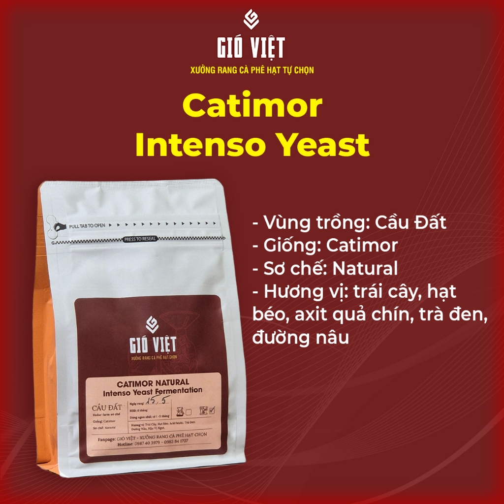 Catimor Intenso 発酵コーヒー - Radar Farm によって予備加工 - 250gr 袋 - Gio Viet Coffee - ライト - 全豆