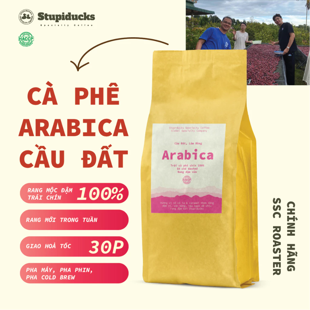 カウダット産アラビカSHGロータス 深煎り 100% 無添加コーヒー粉 500g（フィルター用）- Stupiducks Specialty Coffee