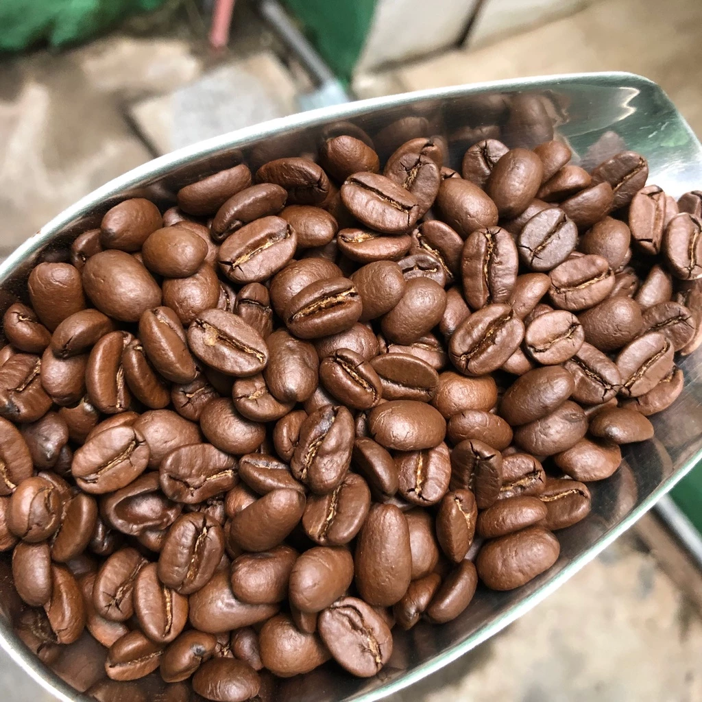 カウダット産アラビカコーヒー豆 200g – エスプレッソ/機械抽出用焙煎