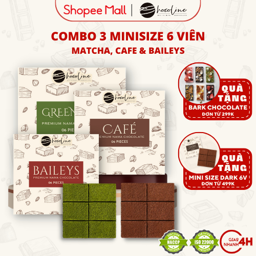 チョコライン フレッシュチョコレート ミニボックス 3種セット（抹茶・コーヒー・ベイリーズ）