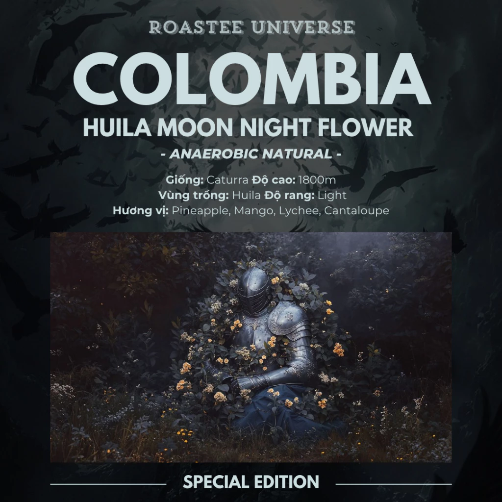 コロンビア ウィラ ムーンナイトフラワー アナエロビック ナチュラル スペシャルティ 挽き済み ドリップコーヒー 100g