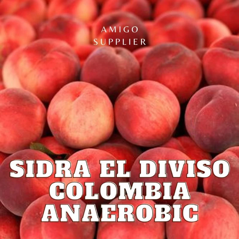 コロンビア ウィラ産 シドラ 嫌気性発酵 焙煎スペシャルティコーヒー豆 フィンカ・エル・ディヴィソ 200g