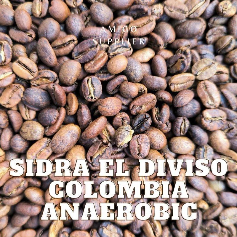コロンビア ウィラ産 シドラ 嫌気性発酵 焙煎スペシャルティコーヒー豆 フィンカ・エル・ディヴィソ 200g
