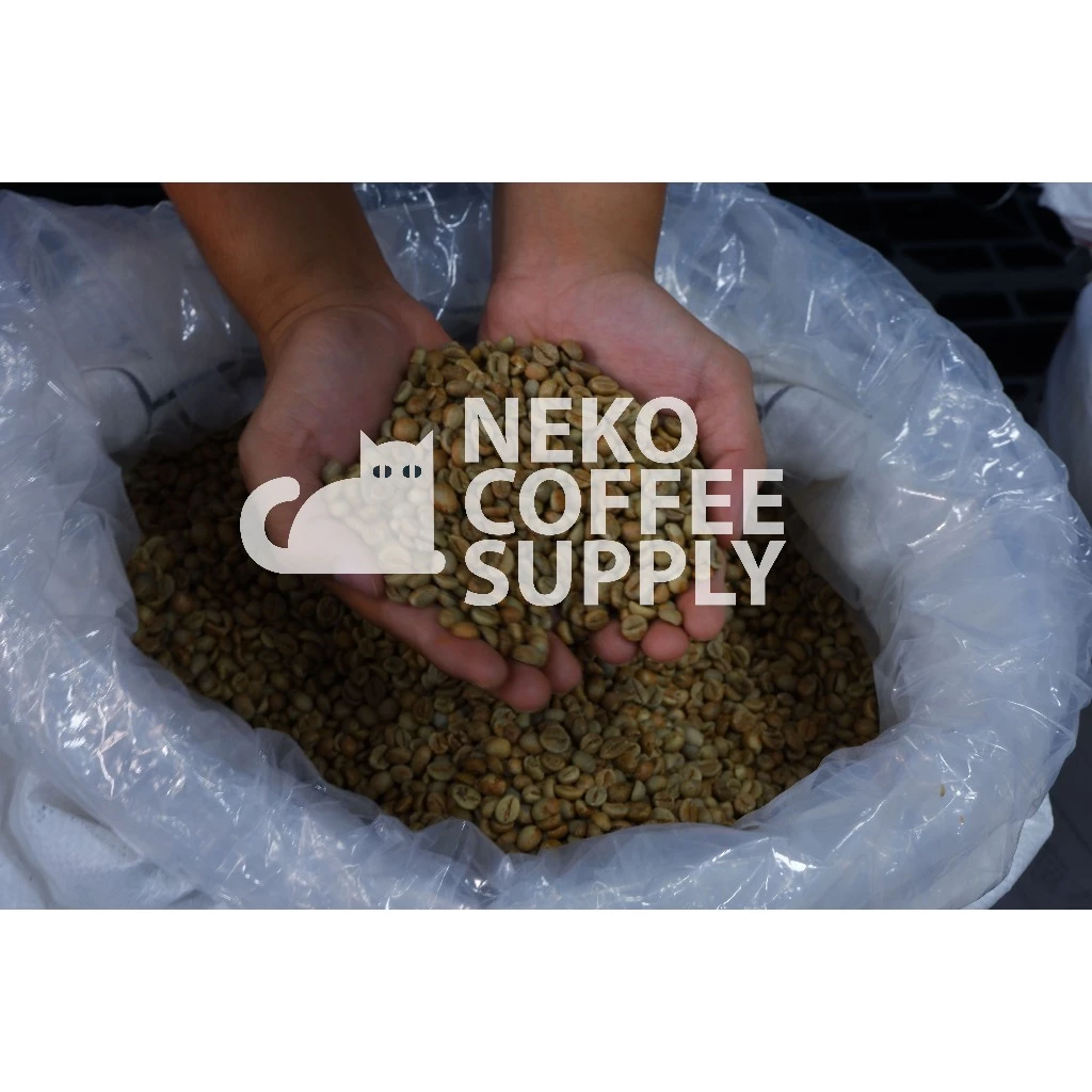 コロンビア ウィラ スプレモ スペシャルティコーヒー Neko 500g エスプレッソ用極細挽き