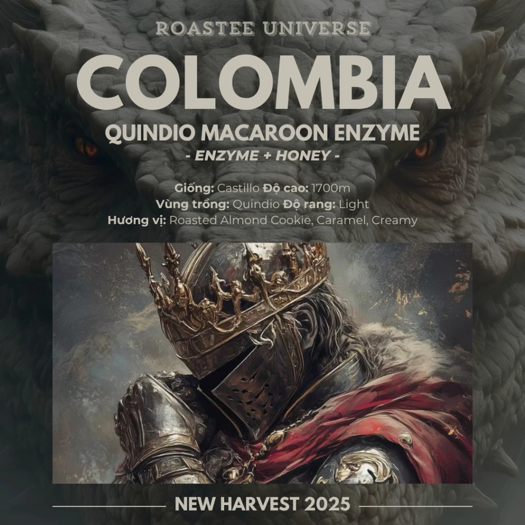 コロンビア・クインディオ産 マカロン酵素発酵 スペシャルティコーヒー 微細挽き プアオーバー用 100g