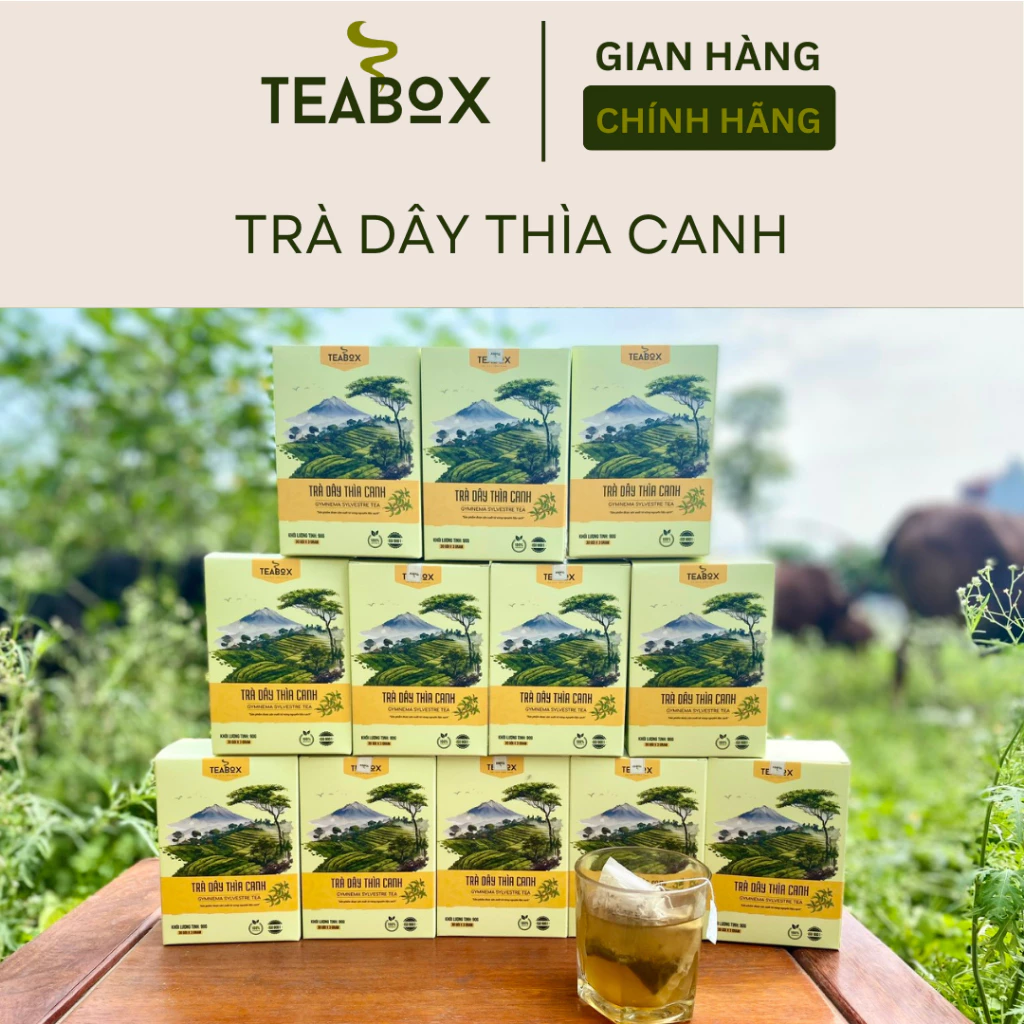 【5箱セット】Teabox ギムネマ茶（ギムネマシルベスタ）｜血糖値安定・糖尿病合併症予防サポート｜ティーバッグ 30包入