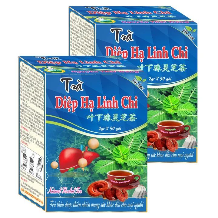 霊芝茶 ハーブティー 10箱セット(50枚×2g) ティーバッグ Tra Thao Duoc Nguyen Thai Trang