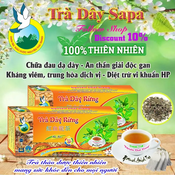ハーブティー Ampelosis tea 10袋セット (50枚 x 2g) ティーバッグ 胃痛用 Tra Thao Duoc Nguyen Thai Trang