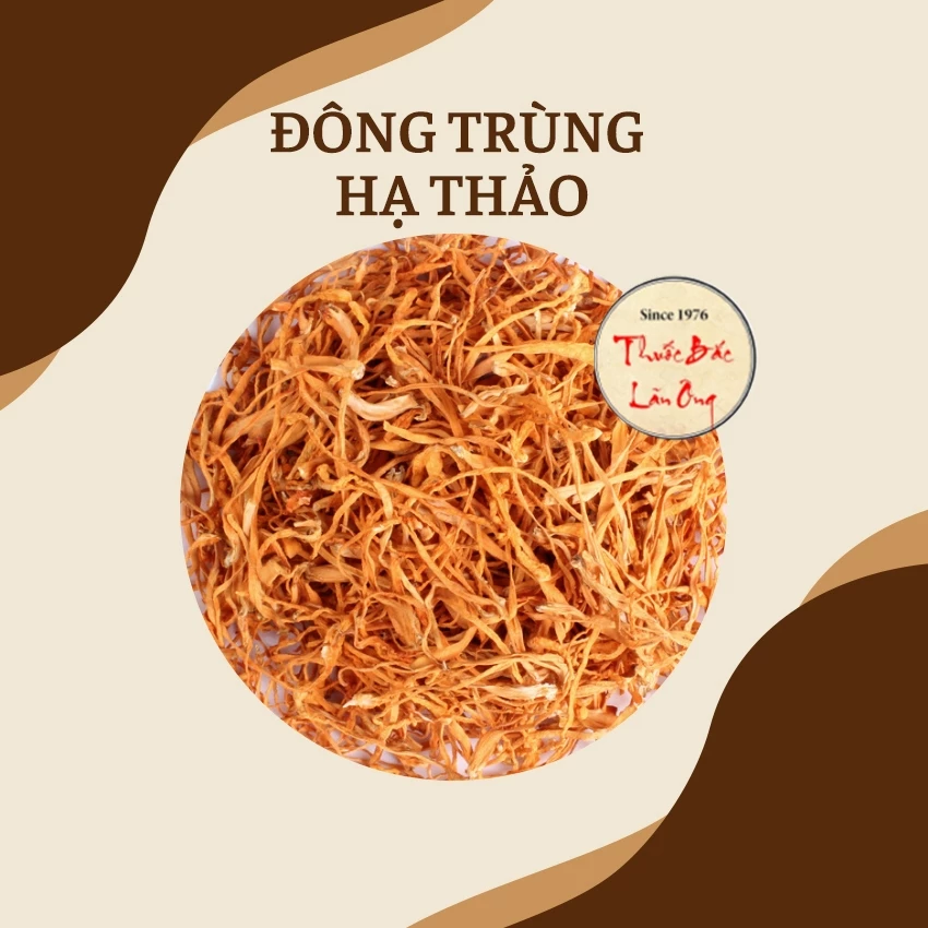 冬虫夏草 500g | 健康茶・鍋・スープ・薬膳鶏煮込みに!滋養強壮に最適な高級薬膳食材