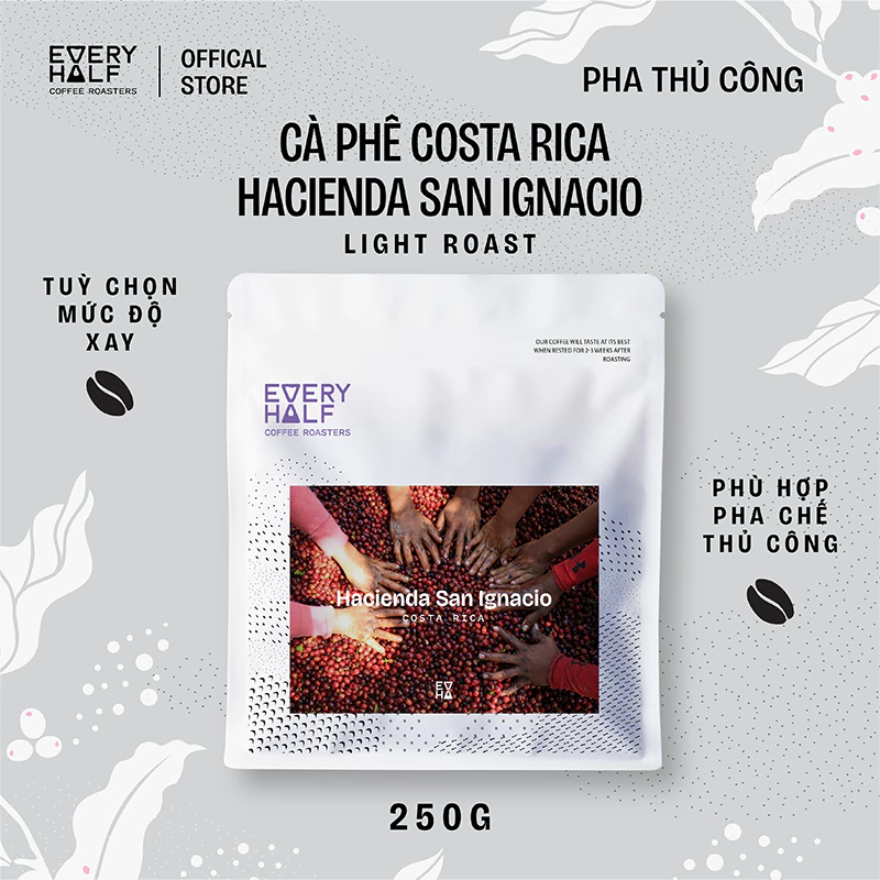 コスタリカ Hacienda San Ignacio スペシャルティ アラビカコーヒー ライトロースト 250g ホールビーン