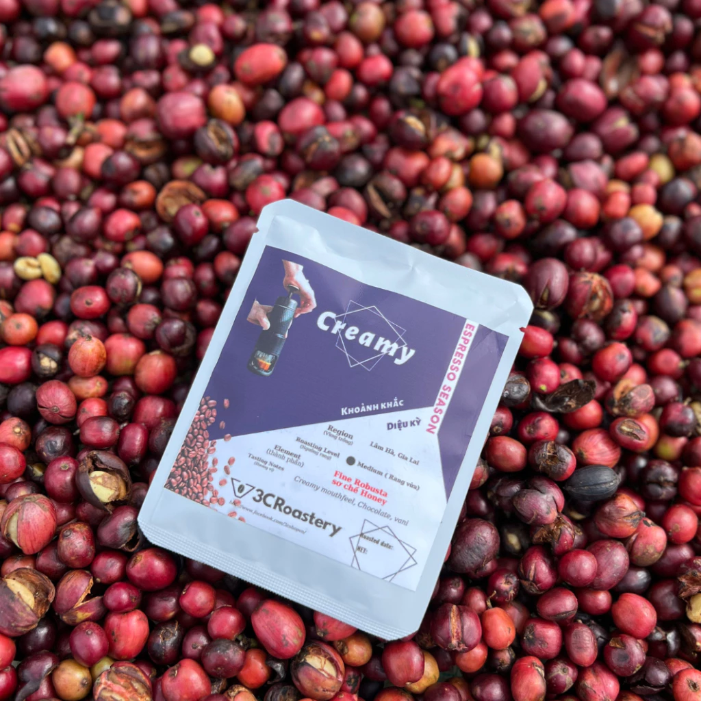 クリーミーロブスタコーヒーパウダー 中煎り (苦味控えめ) Staresso用挽き豆 – 無添加 100g