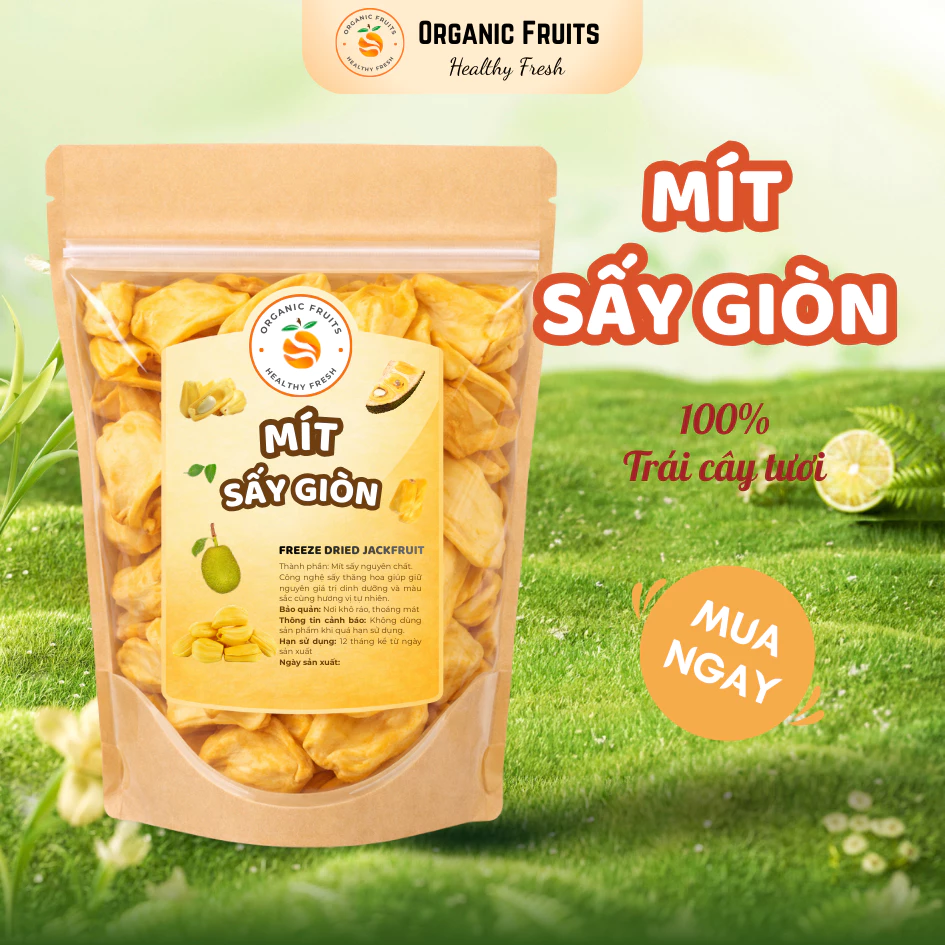 サクサク乾燥ジャックフルーツ 100g - タイ産Aランク輸出品質 無糖 オーガニックフルーツ
