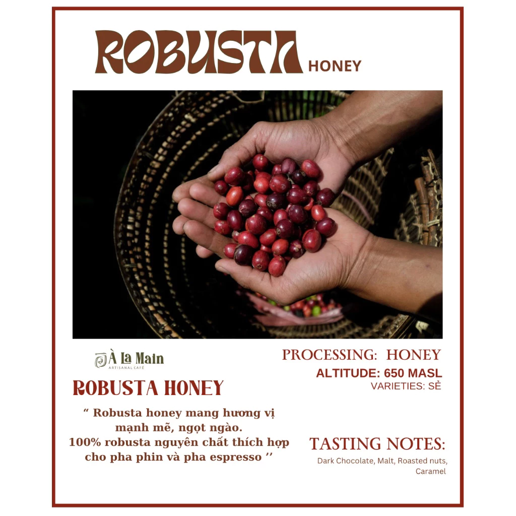 ダクラク省イアヘレオ産 ロブスタハニー エスプレッソ用極細挽きコーヒー粉 500g (税込)