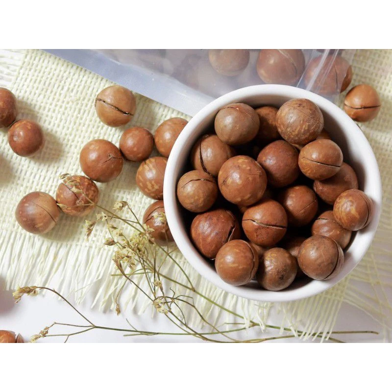 ダクラク産オーガニックマカダミアナッツ（殻付き）- 500gボックス