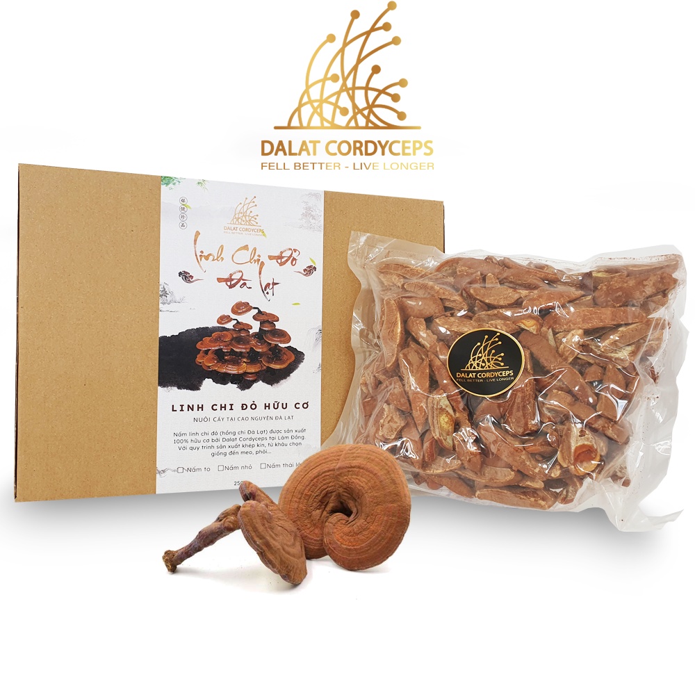 DALAT CORDYCEPS プレミアムシリーズ 赤霊芝 スポア付き スライス 500g DALAT CORDYCEPS