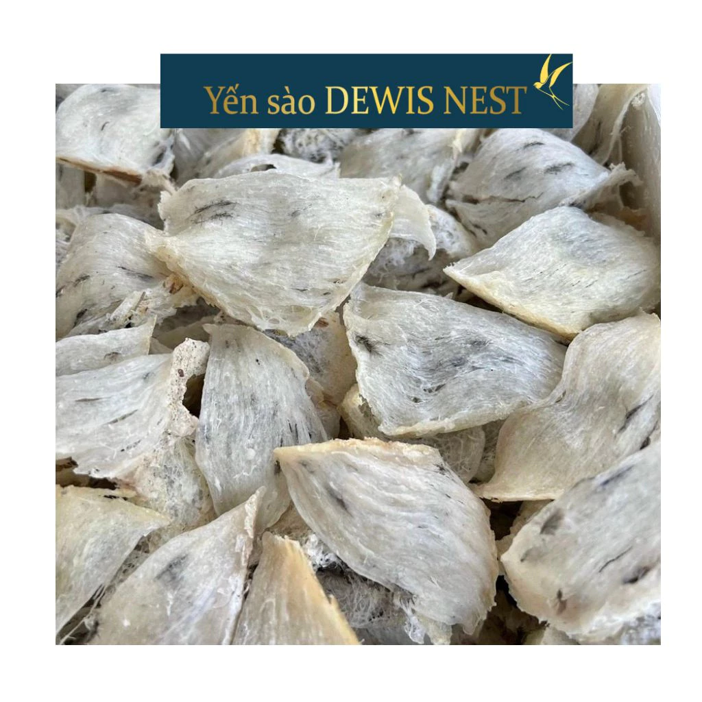 Dewis Nest 100%純粋 標準未加工ツバメの巣 – 消化促進＆免疫力向上