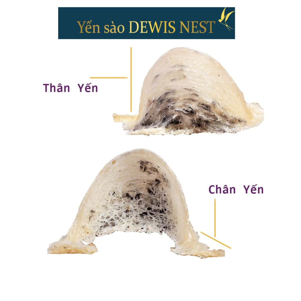 デウィスネスト【100%純粋】Khánh Hòa産 精製燕の巣の足 (50g/100g) 高級ベトナム特産品