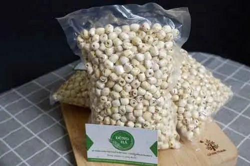 ドライフルーツ ハスの実 500kg