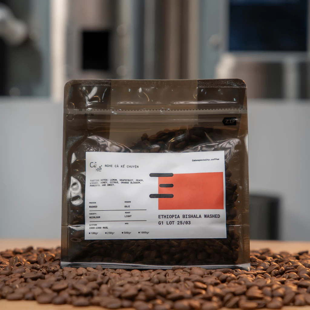 エチオピア ETビシャラ ウォッシュド G1 ロット25/03 スペシャルティコーヒー豆 500g コールドブリューライト焙煎