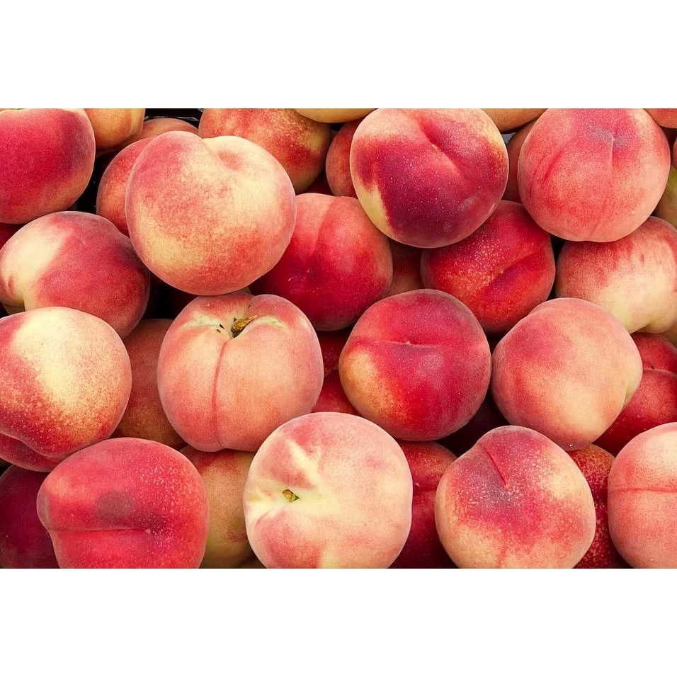 エチオピア オロミア ブクアベル G1 ヘアルーム ナチュラル ポアオーバー用挽き豆 250g | Stupiducks スペシャルティコーヒー