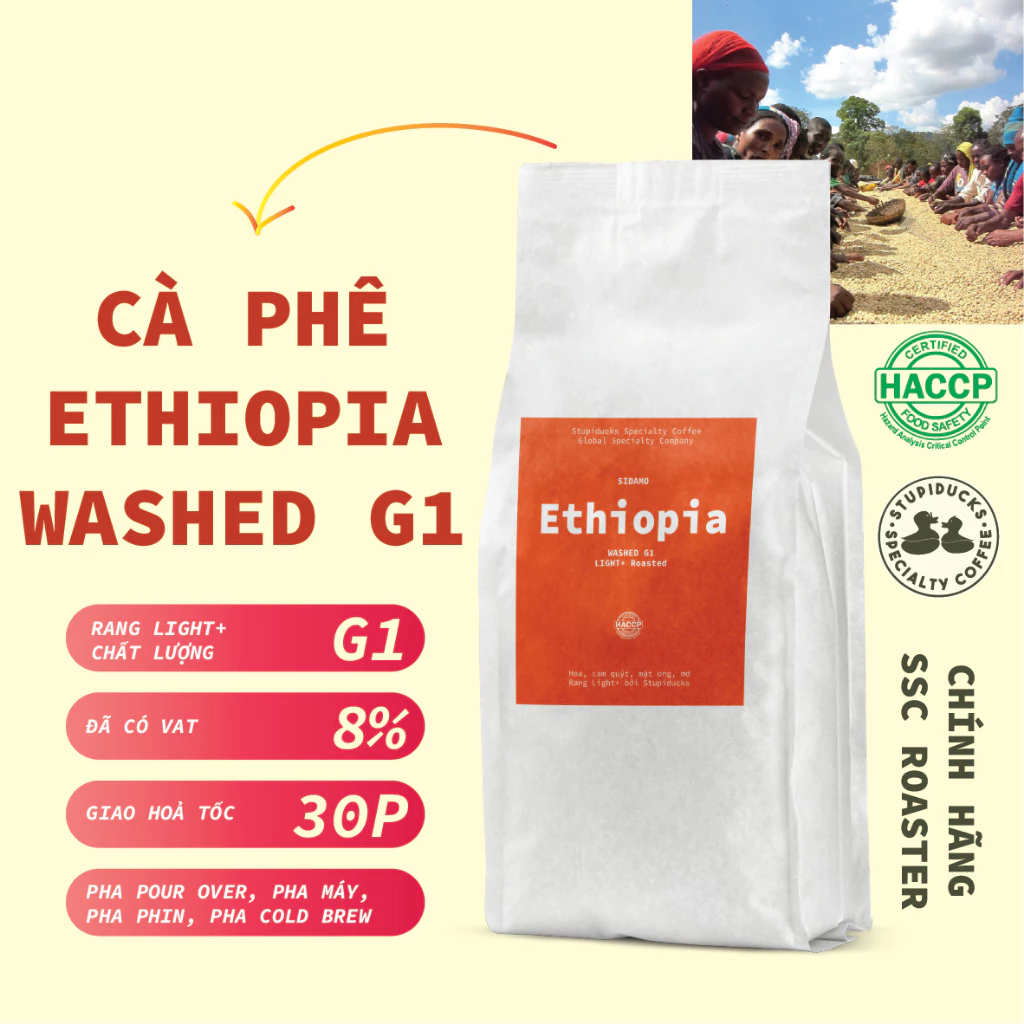 エチオピア シダモ ヘアルーム ウォッシュド G1 (新豆) コールドブリュー用挽き豆 1000g - Stupiducks Specialty Coffee