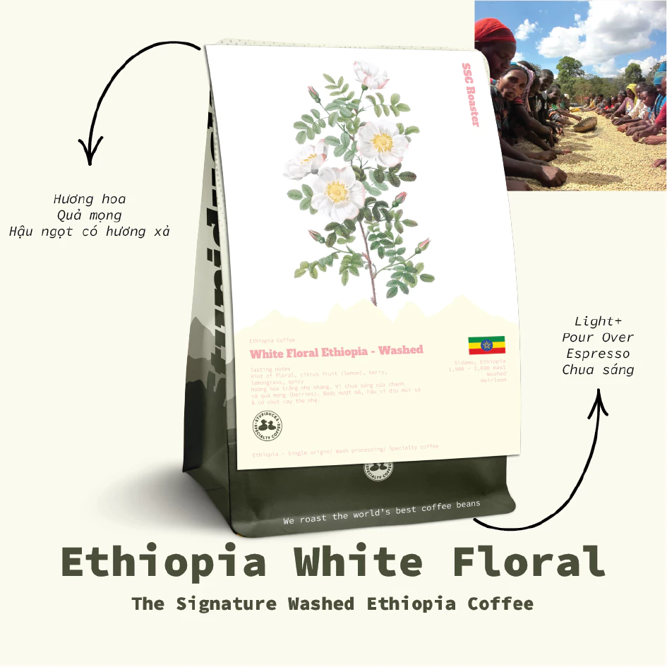 エチオピア ゲデブゾーン ヘアルーム ウォッシュド グレード1 ホワイトフローラル スペシャルティコーヒー 細挽き フィン用 500g - Stupiducks